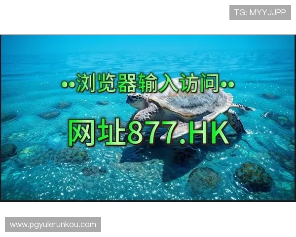 dafa娱乐场经典版:平台安全措施与隐私保护策略,保障玩家信息安全的详细解读 dafa娱乐场经典版:平台安全措施与隐私保护策略,保障玩家信息安全的详细解读